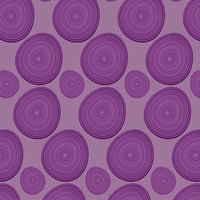 Image 1 of Layers of an Onion - Studio License