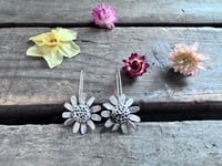 Image 4 of Chamomile Blossoms