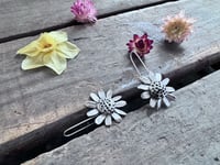 Image 1 of Chamomile Blossoms