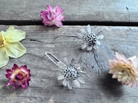 Image 2 of Chamomile Blossoms