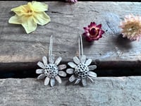 Image 7 of Chamomile Blossoms