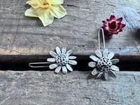 Image 9 of Chamomile Blossoms