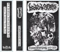 BODILY STEW DISCOGRAPHY 2022-2023 CASSETTE TAPE