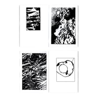 Image 2 of LITTER ZINE