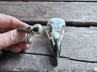 Image 5 of Raven Wisdom, size 7