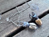 Image 9 of Bold Rhinoceros