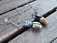 Image 3 of Bold Rhinoceros