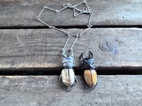 Image 6 of Bold Rhinoceros