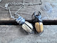 Image 8 of Bold Rhinoceros