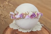 Newborn/Sitter Halo 271