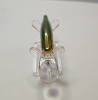 Image 4 of Fire Tiger  Fat Body Crank