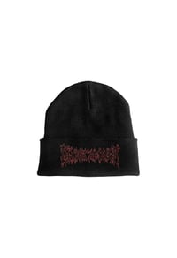 CHXMICAL BEANIE