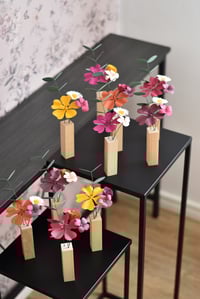 Image 3 of MINI HERBARIUM