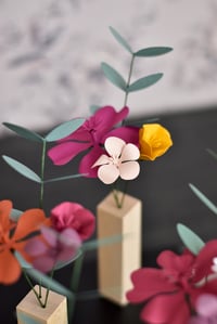 Image 1 of MINI HERBARIUM