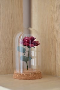 Image 5 of BOTANICAL CLOCHE