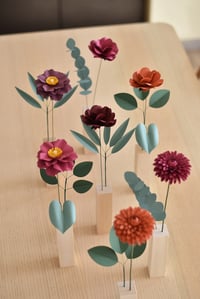 Image 1 of MODERN HERBARIUM