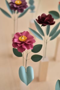 Image 2 of MODERN HERBARIUM