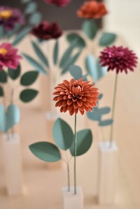 Image 4 of MODERN HERBARIUM