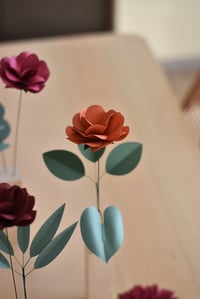 Image 3 of MODERN HERBARIUM