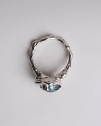 Image 2 of oyster ring
