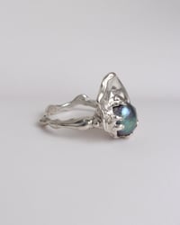 Image 4 of oyster ring