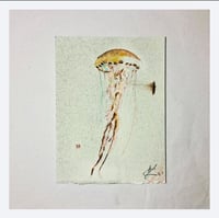 Image 3 of Jelly 1 & Jelly 2- ORIGINAL