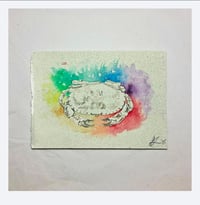 Image 4 of Octopus Colour & Crab Colour 