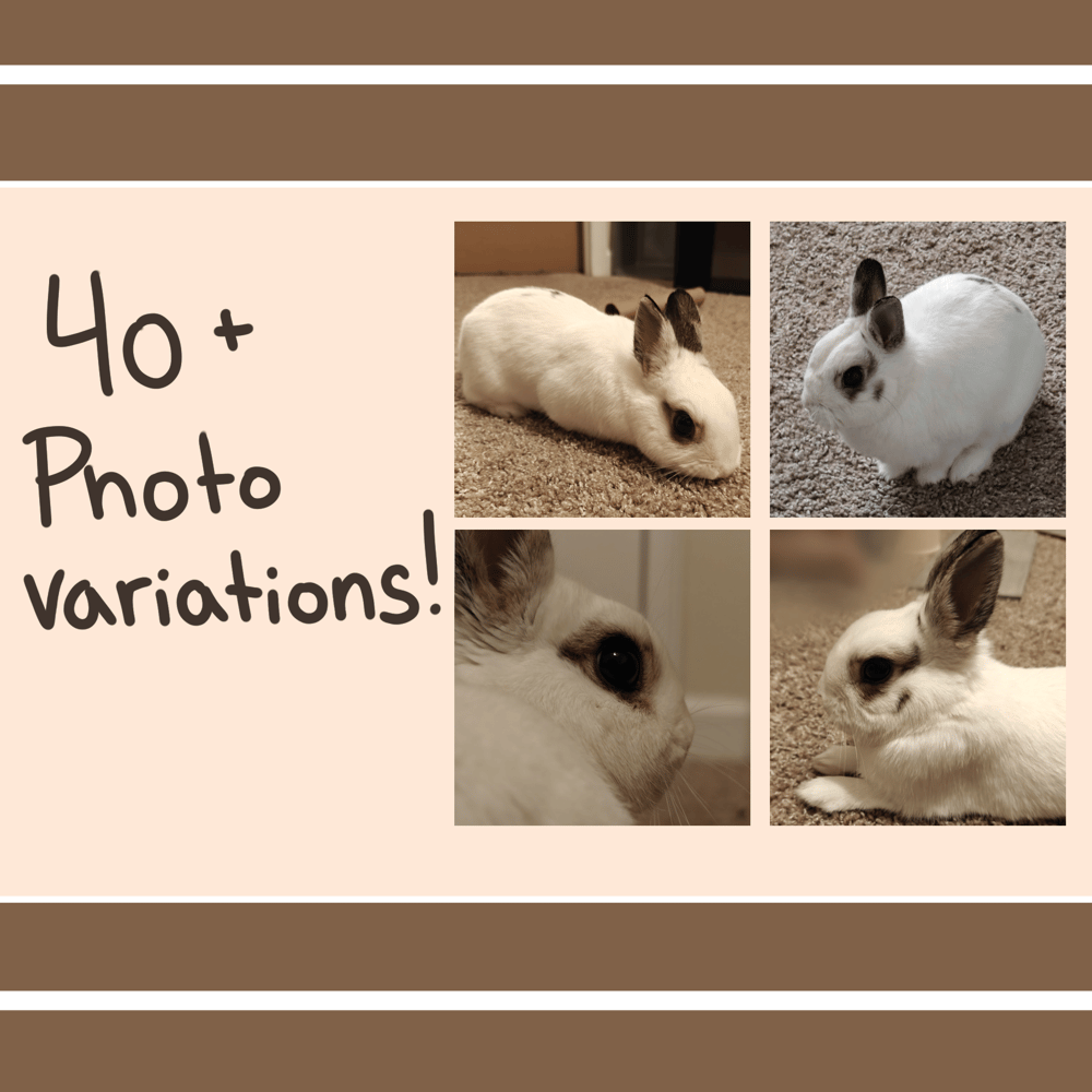 Image of Mochi Mini Print Gacha