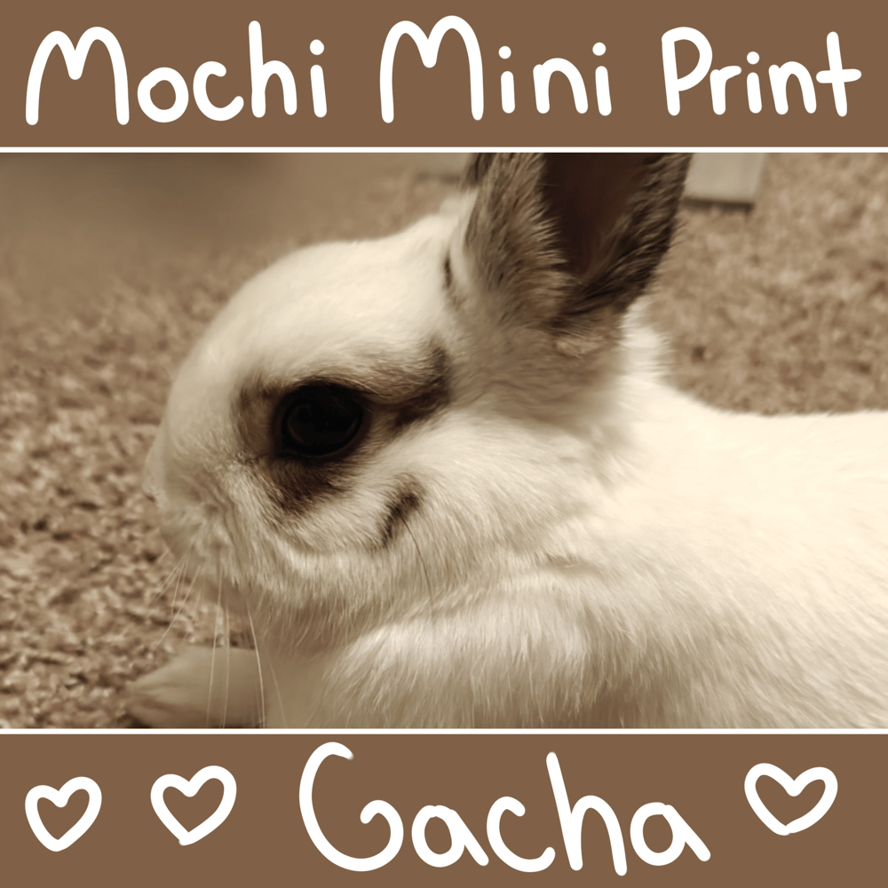 Image of Mochi Mini Print Gacha