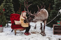 Image 3 of REAL REINDEER SHOOT  { BOOKING FEE ONLY }  SATURDAY 3RD OCTOBER 2026