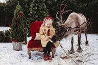 Image 4 of REAL REINDEER SHOOT  { BOOKING FEE ONLY }  SATURDAY 3RD OCTOBER 2026