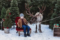 Image 2 of REAL REINDEER SHOOT  { BOOKING FEE ONLY }  SUNDAY 4TH OCTOBER 2026