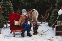 Image 3 of REAL REINDEER SHOOT  { BOOKING FEE ONLY }  SUNDAY 4TH OCTOBER 2026