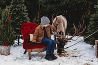 Image 5 of REAL REINDEER SHOOT  { BOOKING FEE ONLY }  SUNDAY 4TH OCTOBER 2026