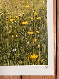 Image 4 of Dandelion Skies