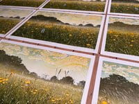 Image 5 of Dandelion Skies