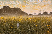 Image 1 of Dandelion Skies