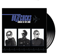 BUZZCOCKS - Sonics in the Soul