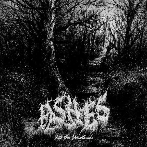 Image of ASHES - Into the Woodlands CD, PRE-ORDER 27.02.2026