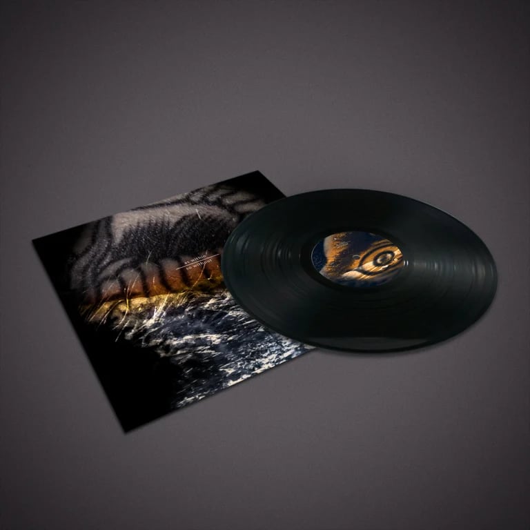 The Land of The Snow - As Within, So Without - LP | LIMITED