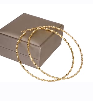 Image of Twisted hoop earrings 