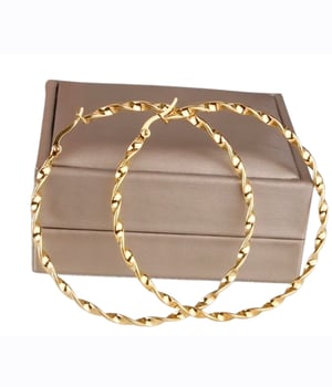 Image of Twisted hoop earrings 