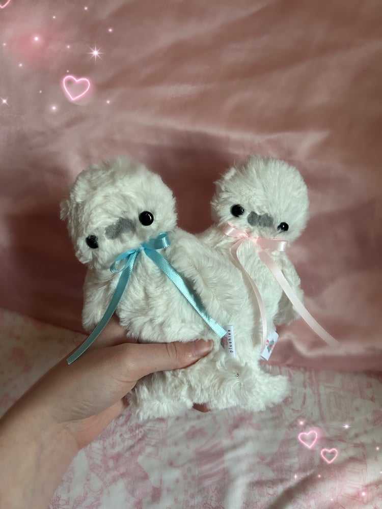 Image of seal pup pals!