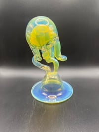 Image 4 of Jellyfish