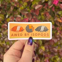 Image 1 of Awed by Isopods Sticker
