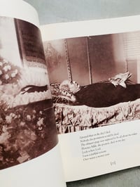 Image 6 of The Harlem Book of the Dead