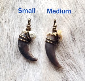 Image of Eurasian Wolf Claw Necklace