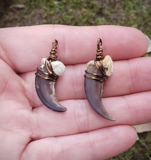 Image of Eurasian Wolf Claw Necklace