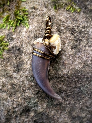 Image of Eurasian Wolf Claw Necklace