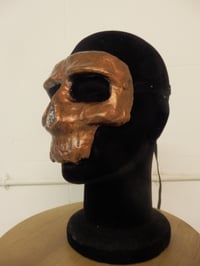 Image 3 of Bronze Skull Mask 